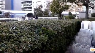精品一区二区成人免费视频🈲🈲无码视频福利片观看